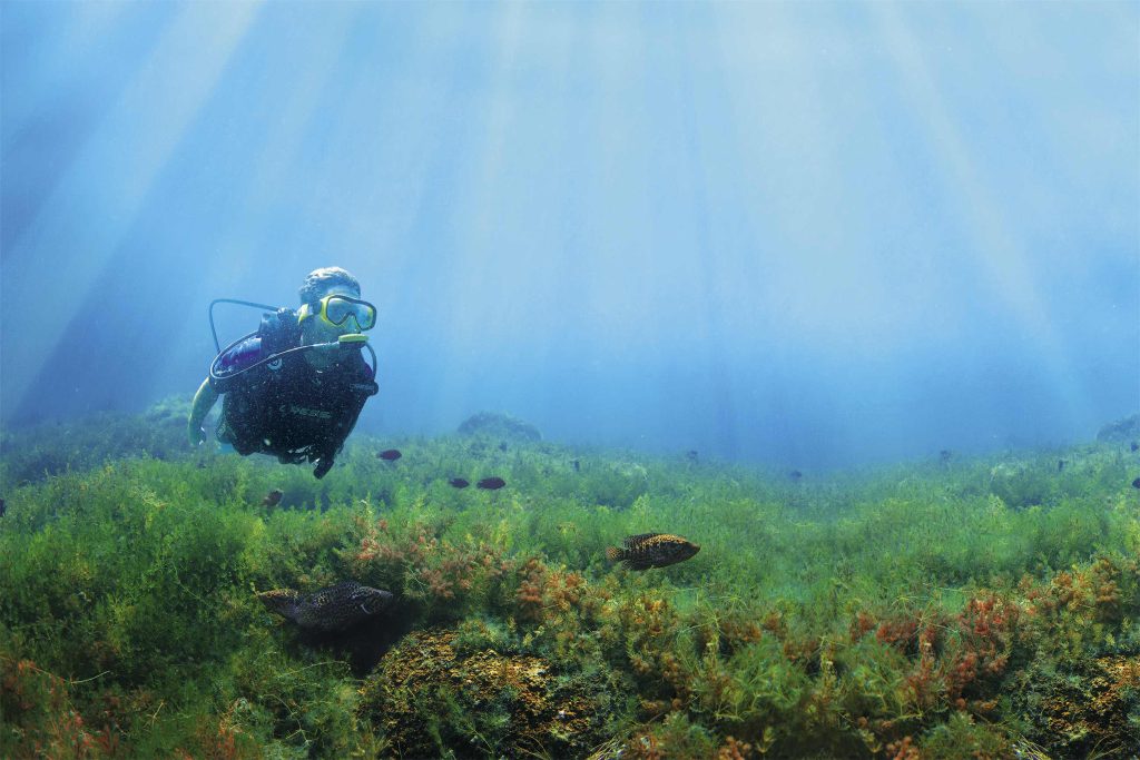 Diving in Ilopango lake